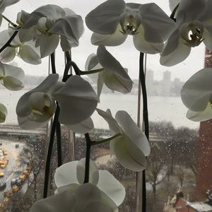 Meet your Posher, Sharon